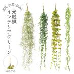  photocatalyst fake green ornament stylish fake green imite-shon green stylish wall interior plant deodorization anti-bacterial decorative plant 