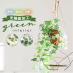  photocatalyst mail order photocatalyst fake green ornament imite-shon green stylish wall interior plant deodorization anti-bacterial decorative plant green bush artificial flower miscellaneous goods human work tree 