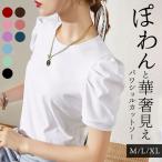 カットソー 半袖 レディース きれいめ 通販 tシャツ シャツ パフスリーブtシャツ トップス 無地 ゆったり 袖コンシャス パワショル パワーショルダー