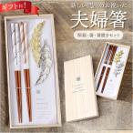ショッピング箸 夫婦箸 おしゃれ 通販 箸置き付き お箸 はし おはし 箸置き はしおき ペア 夫婦はし かわいい オシャレ お揃い シンプル 桐箱入 ギフト箸 ギフト 記念日 夫婦箸