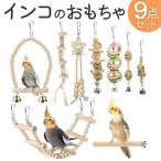  птица игрушка почтовый заказ птица. игрушка bird игрушка жердочка качели ... игрушка подвешивание . swing a потертость шик длиннохвостый попугай попугай se регулирование длиннохвостый попугай сова документ птица птица 