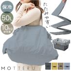 エコバッグ motteru エコバッグ 通販 モッテル パタント MO-1125 レジカゴ用バッグ エコバック 保冷バッグ 大容量 折り畳み ポケッタブル パッカブル 折りたたみ