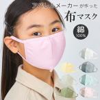 マスク 洗える 通販 小