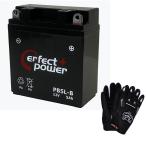 ショッピングパーフェクトグローブ 【グローブ付】 PERFECT POWER PB5L-B MF バイクバッテリー充電済 【互換 ユアサ YB5L-B FB5L-B 12N5-3B GM5Z-3B】