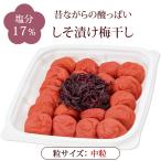 梅干し 昔ながら ご家庭用エコパック 紫蘇漬け17%380g 南高梅 塩分17% しそ 伝統 紫蘇 紀州産 梅翁園 ばいおうえん