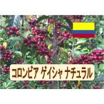 ショッピングコーヒー豆 コーヒー豆 コロンビア ゲイシャ ナチュラル 100ｇ 珈琲 珈琲豆
