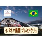  кофе бобы Brazil i панель ma сельское хозяйство . premium kryu[ сухофрукт ] 100g..Coffee кофе бобы .... бобы 