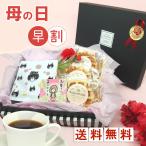 母の日 花以外 プレゼント 70代 60代 2024 スイーツ ギフト お菓子 コーヒー 食べ物 ストライプＢＯＸバージョンS