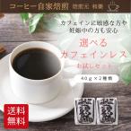  Cafe in отсутствует кофе мука бобы te Cafe кофе te Cafe кофе бобы пробный . покупка карниз JAS засвидетельствование иметь машина сырой бобы 100% использование Cafe in отсутствует 40g×2 вид 