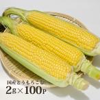 コーン茶 とうもろこし茶 2g×100p 国産 健康茶 メール便送料無料、代引き不可