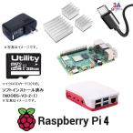 ラズベリーパイ４/４GB　Raspberry Pi4 4GB Element14 UK製　6点セット　本体、ケース、アダプター、USBケーブル、SDカード32G、ヒートシンク　送料無料