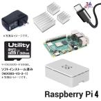 ラズベリーパイ４/４GB　Raspberry Pi4 4GB Element14 UK製　6点セット　本体、ケース(白）、アダプター、USBケーブル、SDカード32G、ヒートシンク　送料無料