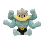 ポケモンセンターオリジナル ぬいぐるみ Pokemon fit カイリキー