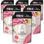 レノア オードリュクス 柔軟剤 マインドフルネスシリーズ サンデー 詰め替え 1,360mL×6袋 ケース品