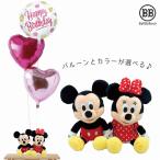 ショッピングミニー ディズニー ミッキー＆ミニー スタンダード バルーンセット Sサイズ 誕生日 電報 結婚式 母の日 ぬいぐるみ プレゼント グッズ 入籍祝い 祝電 クリスマス