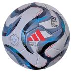  Adidas ne-shonz Lee g26-27 Lee grusia-da4 номер лампочка одобренный мяч adidas2026ball ADF461NL