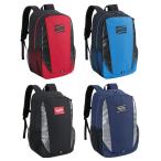 ローリングス ジュニア バックパック 約30L バット収納可能 再帰反射 Rawlings2025SS 野球 少年用 子ども EBP15S04