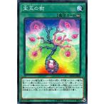 Yahoo! Yahoo!ショッピング(ヤフー ショッピング)遊戯王　宝玉の樹　ノーマル　DP19-JP045　デュエリストパック　レジェンドデュエリスト編2