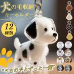  собака. шерсть место хранения брелок для ключа memorial домашнее животное товары прозрачный кейс love собака собака. шерсть брелок для ключа . шерсть кейс . шерсть inserting выпадение шерсть inserting собака. шерсть место хранения бутылка собака шерсть шар inserting 