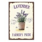  садоводство смешанные товары античный садоводство товары железный посадочная машина plate жестяная пластина модный сад наружный plate принадлежности для садоводства ga-te