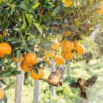 Nowoto защита от птиц сеть голубика птица .. голубь .. прозрачный цвет ширина 2.5m× длина 5m мелкий 20mm сеть глаз птица избежать сеть szme меры нейлон 100% принятие .