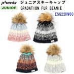  распродажа Phoenix (ESG22HW60) градация Furby колено GRADATION FUR BEANIE (B)