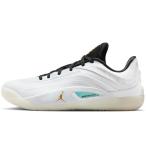 ショッピングjordan NIKE 男性 ナイキ メンズ シューズ JORDAN ZION 4 PF ジョーダン ザイオン 4 PF FD0591-104