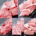 ミートたまや 肉 牛肉 A5ランク 和牛 特選 焼肉 5種盛り 焼肉セット 1kg 国産 A5等級 高級 焼き肉 BBQ バーベキュー 特選