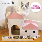 nekoto_ кошка подножка 