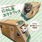 ni.. внезапный Express 
