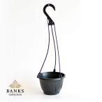 HPM hanging pot hanging pot single goods BC pra pot banks collection 