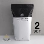BSM3-2 ベストソイルミックス3L2袋 Best Soil Mix バンクスコレクション 観葉植物用培養土