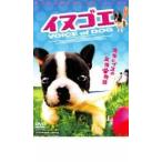 イヌゴエ レンタル落ち 中古 DVD