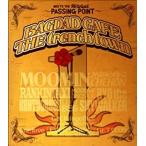 DANCEHALL ALBUM MEETS THE REGGAE PASSING POINT прокат б/у CD