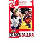 ドラゴンボール改 全53枚 改 全33巻 + 魔人ブウ編 全20巻 全巻セット