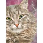 shi... голос 7 прокат б/у 