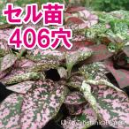 ヒポエステスコンフェティミックス4...