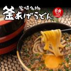 どんまい うどん 宮崎釜あげうどん 6食 (3食(麺300g×1、つゆ40g×3、乾燥薬味3袋)×2袋) 送料無料 食品 ポイント消化 ご当地グルメ 産直 お試し 取り寄せ