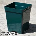 [12 номер угол глубокий горшок ]rosaolientis collectors pot [ premi Arrows selection ] роза горшок * угол горшок ZIK-900