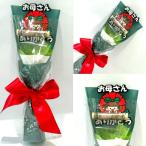 ユニークポチ袋 花束ポチ袋 花より現金 御祝い ご祝儀 祝儀袋 お年玉袋 ユニークポチ袋 贈り物