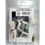 1/20 Driver Type A.P [WITH CHAMPAGNE]  DIVE NINE Figure Series