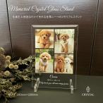  домашнее животное собака кошка ... . фотография декоративная тарелка искусство название inserting подарок память день подарок модный симпатичный мысль . заказ птица ... товары интерьер 