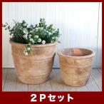 ショッピング鉢 植木鉢　テラコッタ　テラアスタ　シーリス　M・S 2点セット