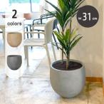 ファイバークレイプロ バーラ バルーンプランター M 31 植木鉢 大型
