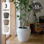 鉢カバー　セメント　モノ・ストーン　パボ　インワード　L53