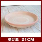 植木鉢　テラコッタ　ソーサー　アリーナ/テラ・グラフィアート　21