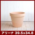 植木鉢 テラコッタ スタンダルド アリーナ 13号