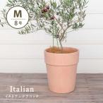 ショッピング植木鉢 植木鉢　テラコッタ　アルト　アリーナ　8号