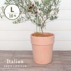 植木鉢　テラコッタ　アルト　アリーナ　10号
