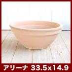 植木鉢 テラコッタ シクラミーノ アリーナ 11号
